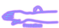 Pronation